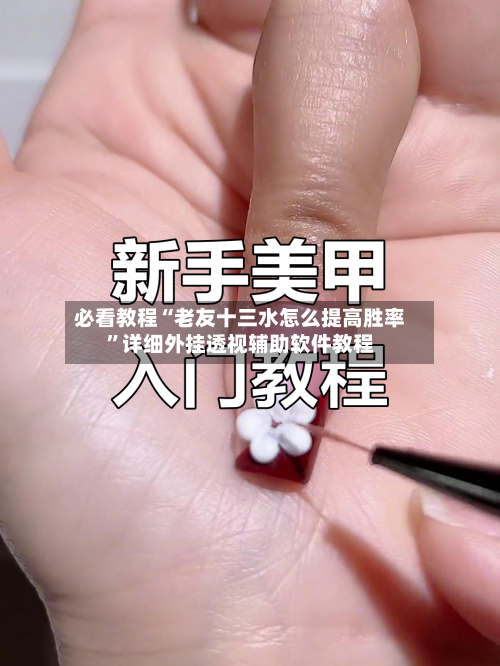 必看教程“老友十三水怎么提高胜率	”详细外挂透视辅助软件教程-第3张图片