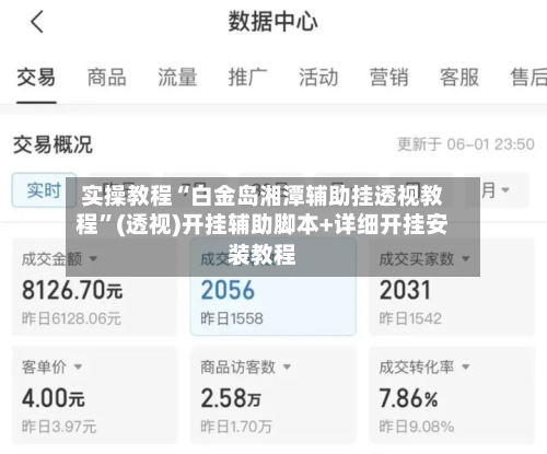 实操教程“白金岛湘潭辅助挂透视教程	”(透视)开挂辅助脚本+详细开挂安装教程-第2张图片
