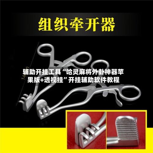 辅助开挂工具“哈灵麻将外卦神器苹果版+透视挂”开挂辅助软件教程-第1张图片