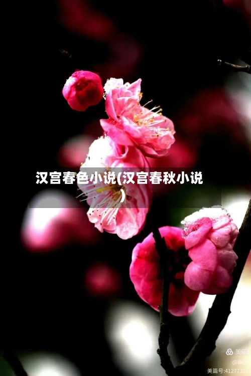 汉宫春色小说(汉宫春秋小说)-第2张图片