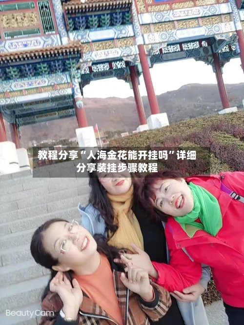 教程分享“人海金花能开挂吗”详细分享装挂步骤教程-第1张图片