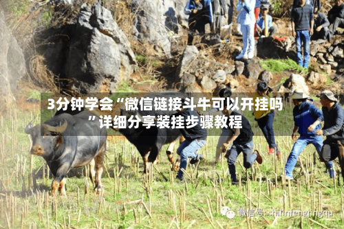 3分钟学会“微信链接斗牛可以开挂吗	”详细分享装挂步骤教程-第3张图片