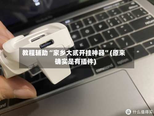 教程辅助“家乡大贰开挂神器”(原来确实是有插件)-第1张图片