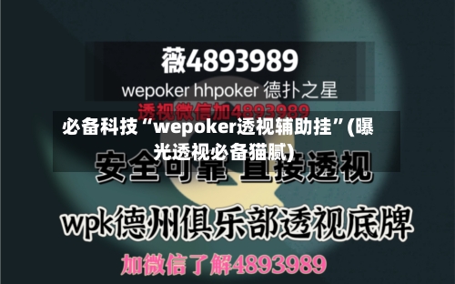 必备科技“wepoker透视辅助挂	”(曝光透视必备猫腻)-第2张图片