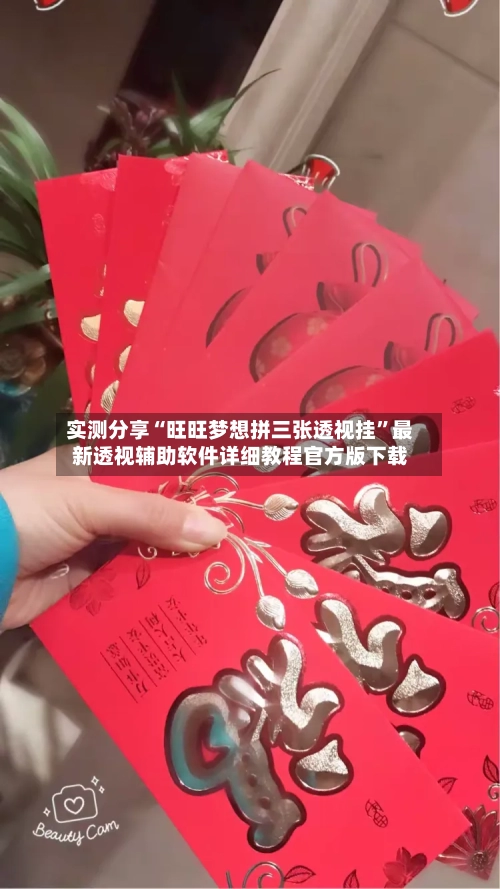 实测分享“旺旺梦想拼三张透视挂”最新透视辅助软件详细教程官方版下载-第3张图片