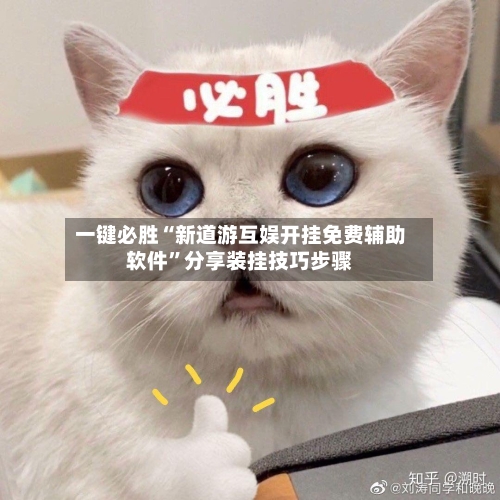 一键必胜“新道游互娱开挂免费辅助软件”分享装挂技巧步骤-第1张图片