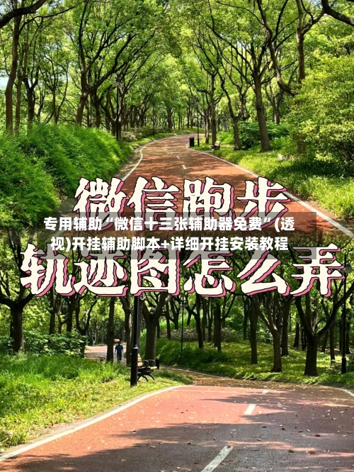 专用辅助“微信十三张辅助器免费”(透视)开挂辅助脚本+详细开挂安装教程-第1张图片