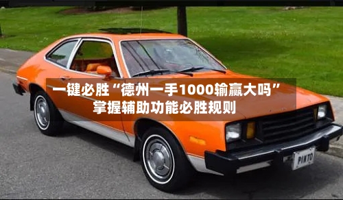 一键必胜“德州一手1000输赢大吗”掌握辅助功能必胜规则-第1张图片