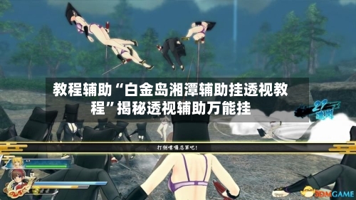 教程辅助“白金岛湘潭辅助挂透视教程	”揭秘透视辅助万能挂-第3张图片