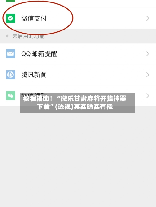 教程辅助！“微乐甘肃麻将开挂神器下载”(透视)其实确实有挂-第2张图片