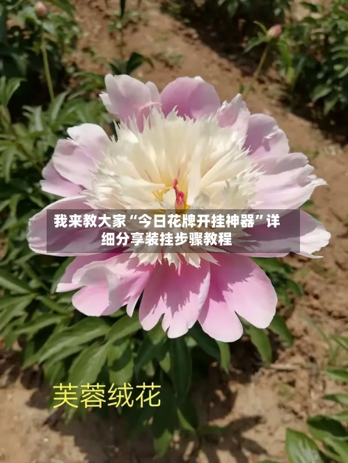 我来教大家“今日花牌开挂神器”详细分享装挂步骤教程-第2张图片