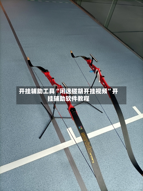 开挂辅助工具“闲逸碰胡开挂视频”开挂辅助软件教程-第3张图片