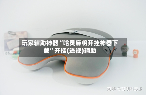 玩家辅助神器“哈灵麻将开挂神器下载”开挂(透视)辅助-第2张图片