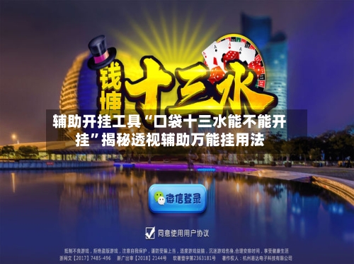 辅助开挂工具“口袋十三水能不能开挂	”揭秘透视辅助万能挂用法-第2张图片