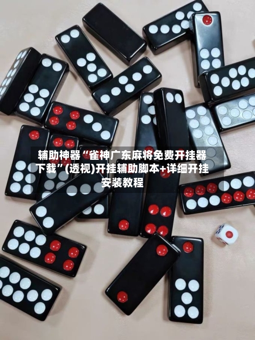 辅助神器“雀神广东麻将免费开挂器下载”(透视)开挂辅助脚本+详细开挂安装教程-第3张图片