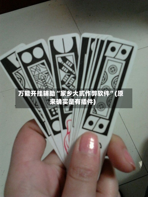 万能开挂辅助“家乡大贰作弊软件”(原来确实是有插件)-第3张图片