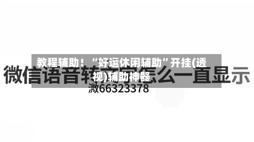 教程辅助！“好运休闲辅助”开挂(透视)辅助神器-第3张图片