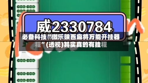 必备科技“微乐陕西麻将万能开挂器”(透视)其实真的有挂-第3张图片