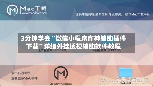 3分钟学会“微信小程序雀神辅助插件下载”详细外挂透视辅助软件教程-第2张图片