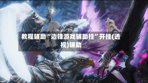 教程辅助“边锋游戏辅助挂”开挂(透视)辅助-第1张图片