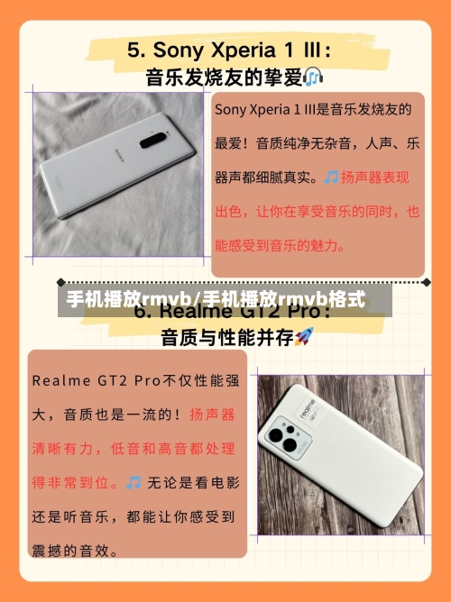 手机播放rmvb/手机播放rmvb格式-第1张图片