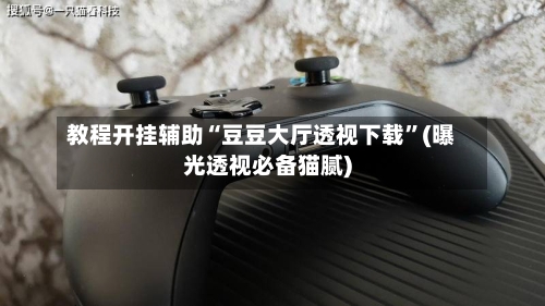 教程开挂辅助“豆豆大厅透视下载”(曝光透视必备猫腻)-第1张图片