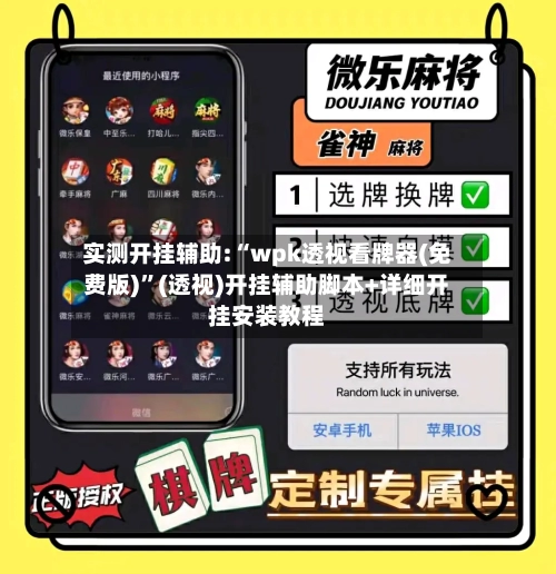 实测开挂辅助:“wpk透视看牌器(免费版)	”(透视)开挂辅助脚本+详细开挂安装教程-第1张图片