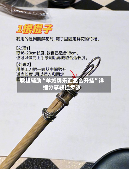 教程辅助“羊城牌乐汇怎么开挂	”详细分享装挂步骤-第1张图片