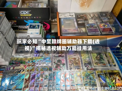 玩家必知“中至赣牌圈辅助器下载(透视)”揭秘透视辅助万能挂用法-第1张图片