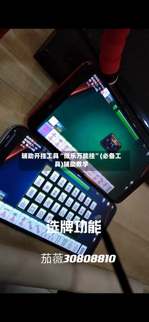 辅助开挂工具“微乐万能挂”(必备工具)辅助教学-第2张图片