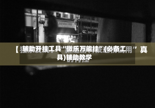 辅助开挂工具“微乐万能挂”(必备工具)辅助教学-第3张图片