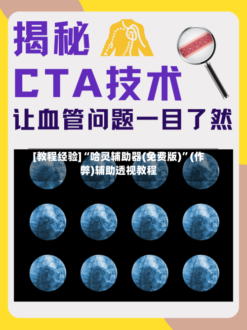 [教程经验]“哈灵辅助器(免费版)”(作弊)辅助透视教程-第1张图片