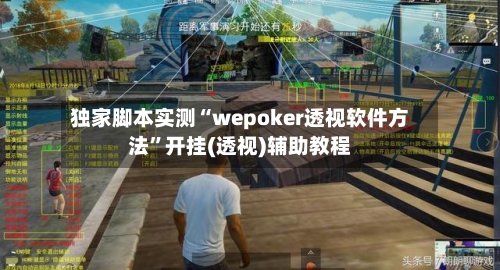 独家脚本实测“wepoker透视软件方法”开挂(透视)辅助教程-第2张图片