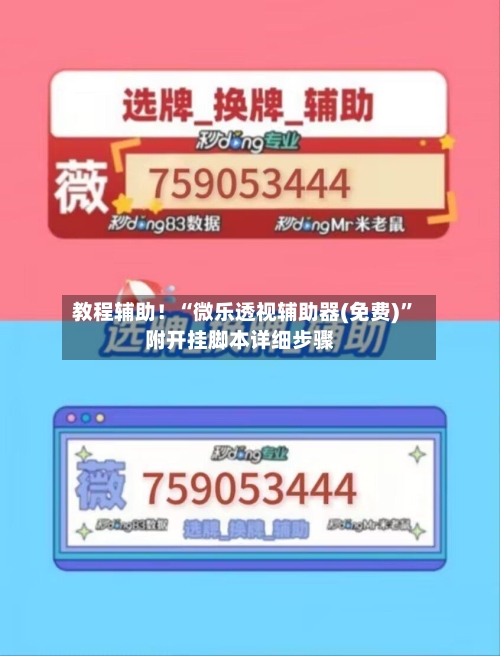 教程辅助！“微乐透视辅助器(免费)	”附开挂脚本详细步骤-第1张图片