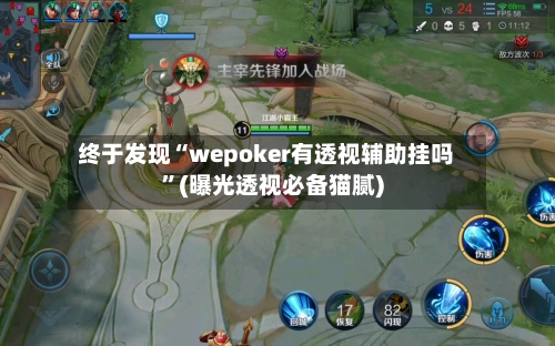 终于发现“wepoker有透视辅助挂吗”(曝光透视必备猫腻)-第2张图片