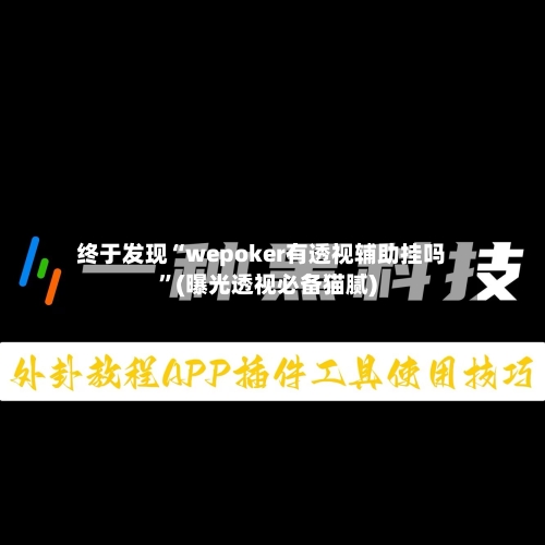 终于发现“wepoker有透视辅助挂吗”(曝光透视必备猫腻)-第3张图片