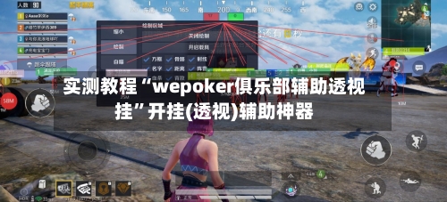 实测教程“wepoker俱乐部辅助透视挂”开挂(透视)辅助神器-第3张图片