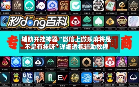 辅助开挂神器“微信上微乐麻将是不是有挂呀”详细透视辅助教程-第3张图片