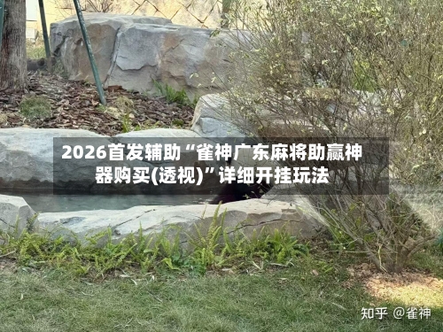 2026首发辅助“雀神广东麻将助赢神器购买(透视)”详细开挂玩法-第1张图片