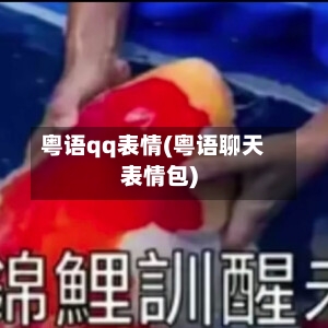 粤语qq表情(粤语聊天表情包)-第2张图片