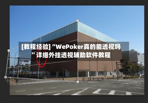 [教程经验]“WePoker真的能透视吗”详细外挂透视辅助软件教程-第1张图片