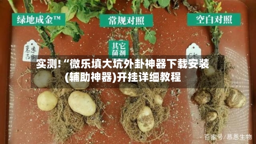 实测!“微乐填大坑外卦神器下载安装(辅助神器)开挂详细教程-第2张图片