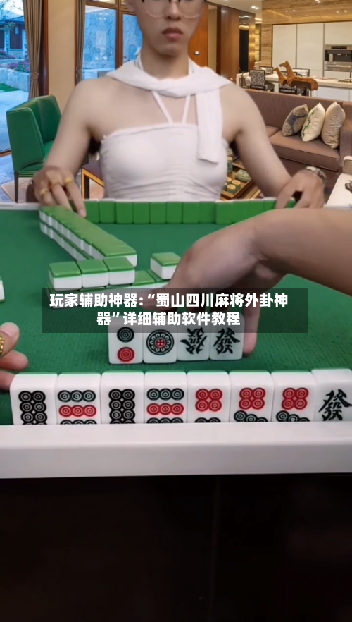 玩家辅助神器:“蜀山四川麻将外卦神器	”详细辅助软件教程-第1张图片