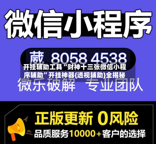 开挂辅助工具“财神十三张微信小程序辅助	”开挂神器{透视辅助}全揭秘-第2张图片