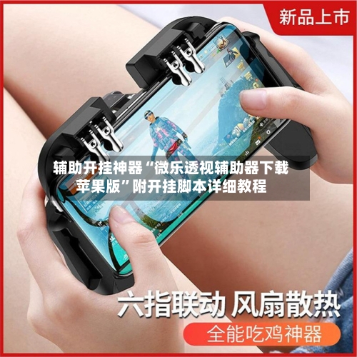 辅助开挂神器“微乐透视辅助器下载苹果版”附开挂脚本详细教程-第3张图片