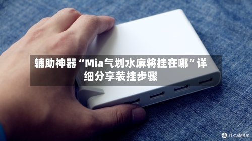 辅助神器“Mia气划水麻将挂在哪”详细分享装挂步骤-第1张图片