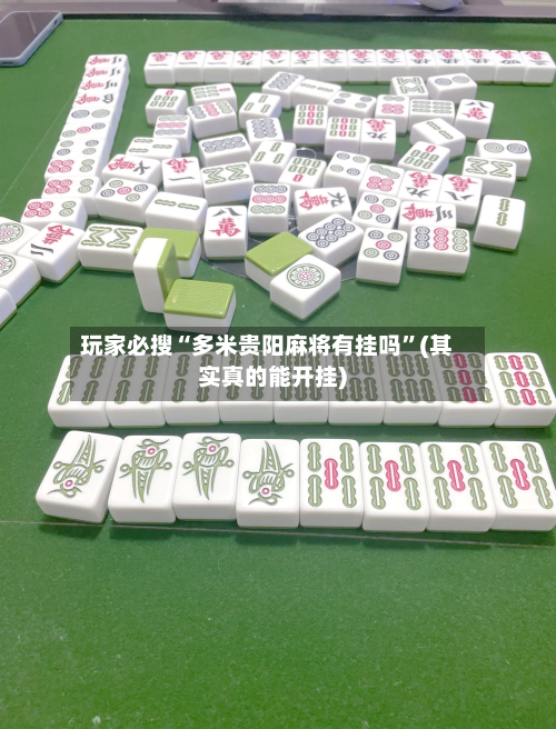 玩家必搜“多米贵阳麻将有挂吗”(其实真的能开挂)-第2张图片