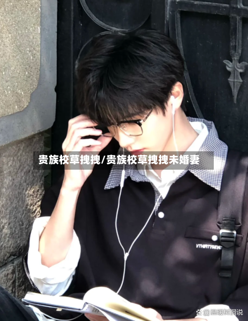 贵族校草拽拽/贵族校草拽拽未婚妻-第3张图片