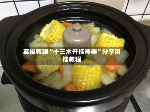 实操教程“十三水开挂神器”分享用挂教程-第2张图片