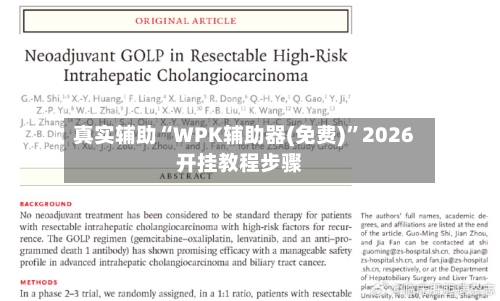 真实辅助“WPK辅助器(免费)”2026开挂教程步骤-第1张图片